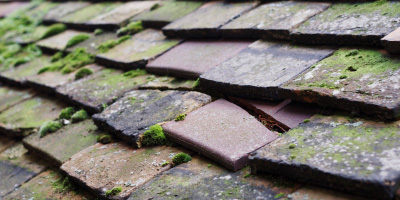 Greenham roof repair costs